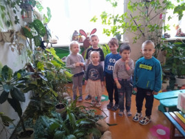 комнатные растения и уход за ними комнатные растения и уход за ними.