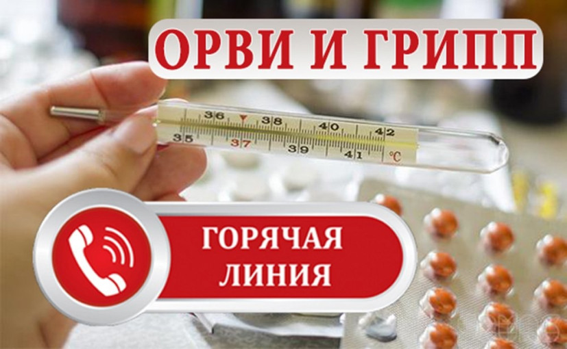 Горячая линия Горячая линия.