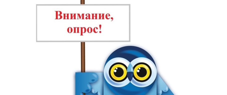 Проводится опрос Проводится опрос.
